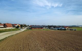 InvestZone vinde 10 ha la Santandrei - Poză 7