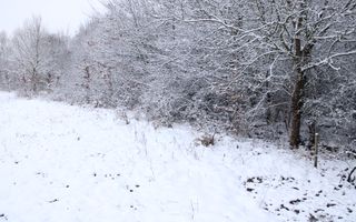 Super oferta I teren intravilan de vanzare in Cisnadie - Poză 7