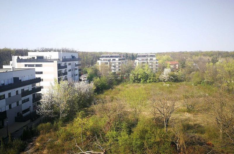Apartament 2 camere Aleea Privighetorilor-Padurea Baneasa, Gradina Zoologica - Poză 15