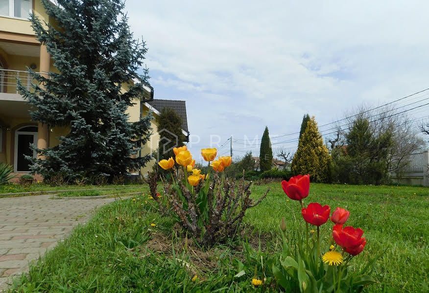 Reședință de lux cu potențial comercial –zonă Băi, Sângeorgiu de Mureș - Poză 2