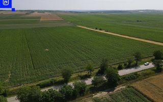 Teren - Orășeni Deal, Curtești | BOTOȘANI | 10.000mp - Poză 7