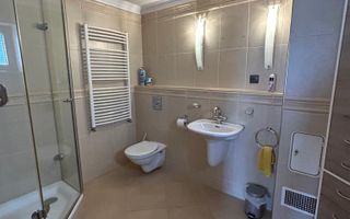 Vila individuala de lux de inchiriat, in cartier Gruia aproape de Cetatuie! - Poză 26