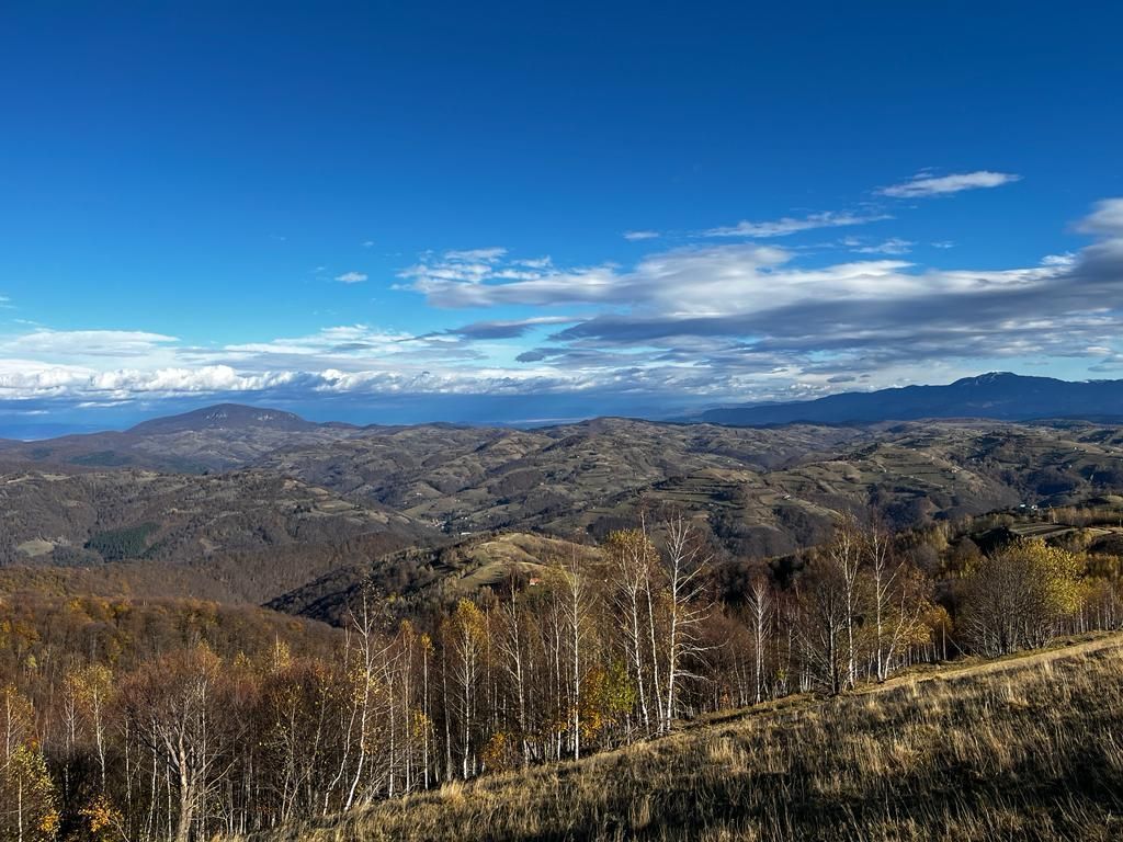 Teren extravilan 2ha, priveliste panoramica spre munti /Poiana Marului - Poză 10