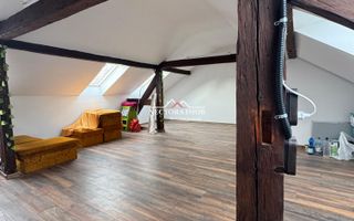 NECTORA IMOB-Spatiu comercial P+M, Ultracentral, Zona Piața Ferdinand - Poză 6