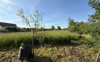 Teren de 3360 mp în exclusivitate, Sânmihaiu Român, vedere la Bega - Poză 1