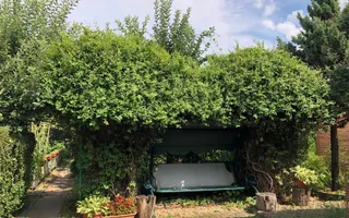 BRASADAS vinde casa cu 7 camere si teren 1100mp in zona Burdea. - Poză 20
