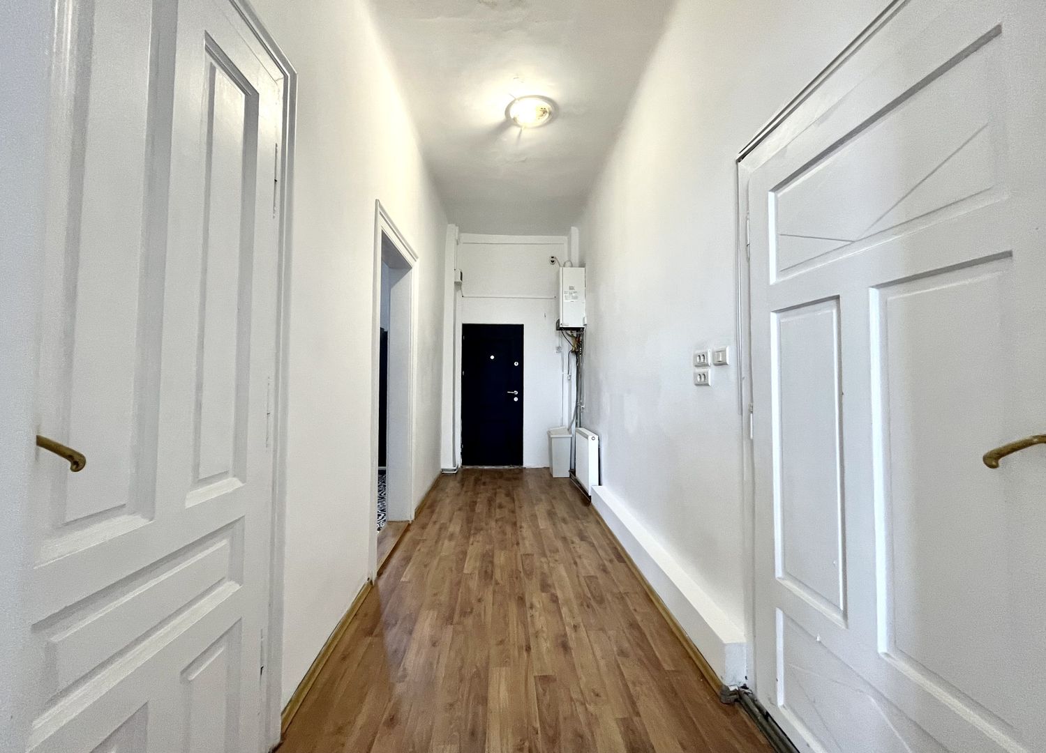 Un apartament spațios cu  2 camere, in , zona Centrala - Take Ionescu - Poză 15