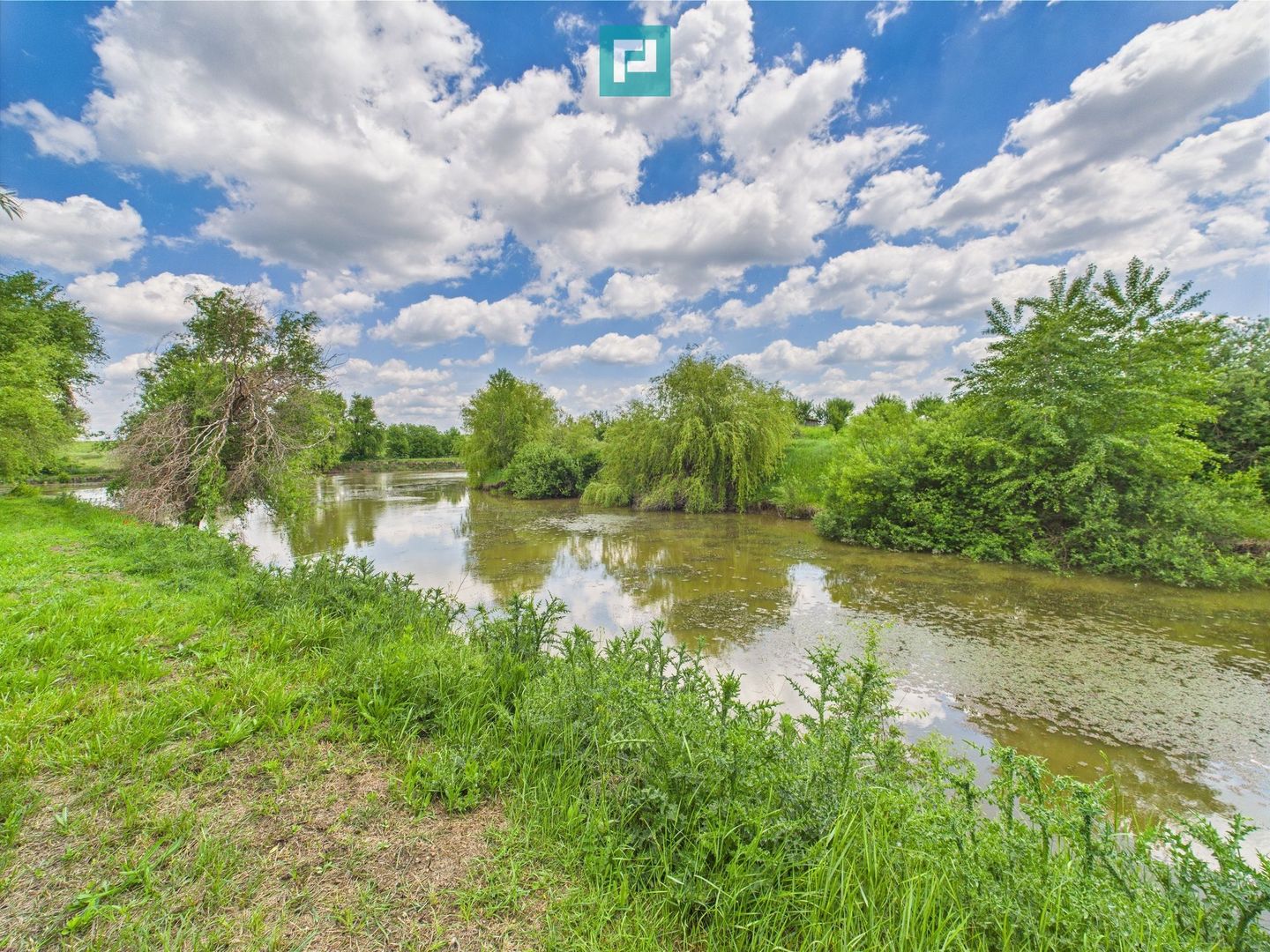 Teren cu baltă- oportunități multiple la Fibiș - Poză 18