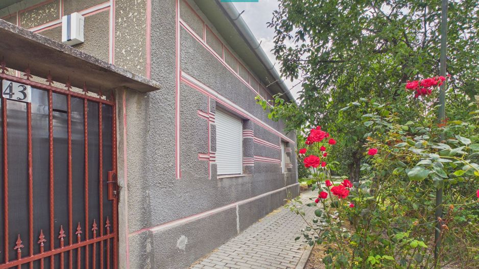 Casă cu 4 camere și teren de 800 mp în Zerind - Poză 1