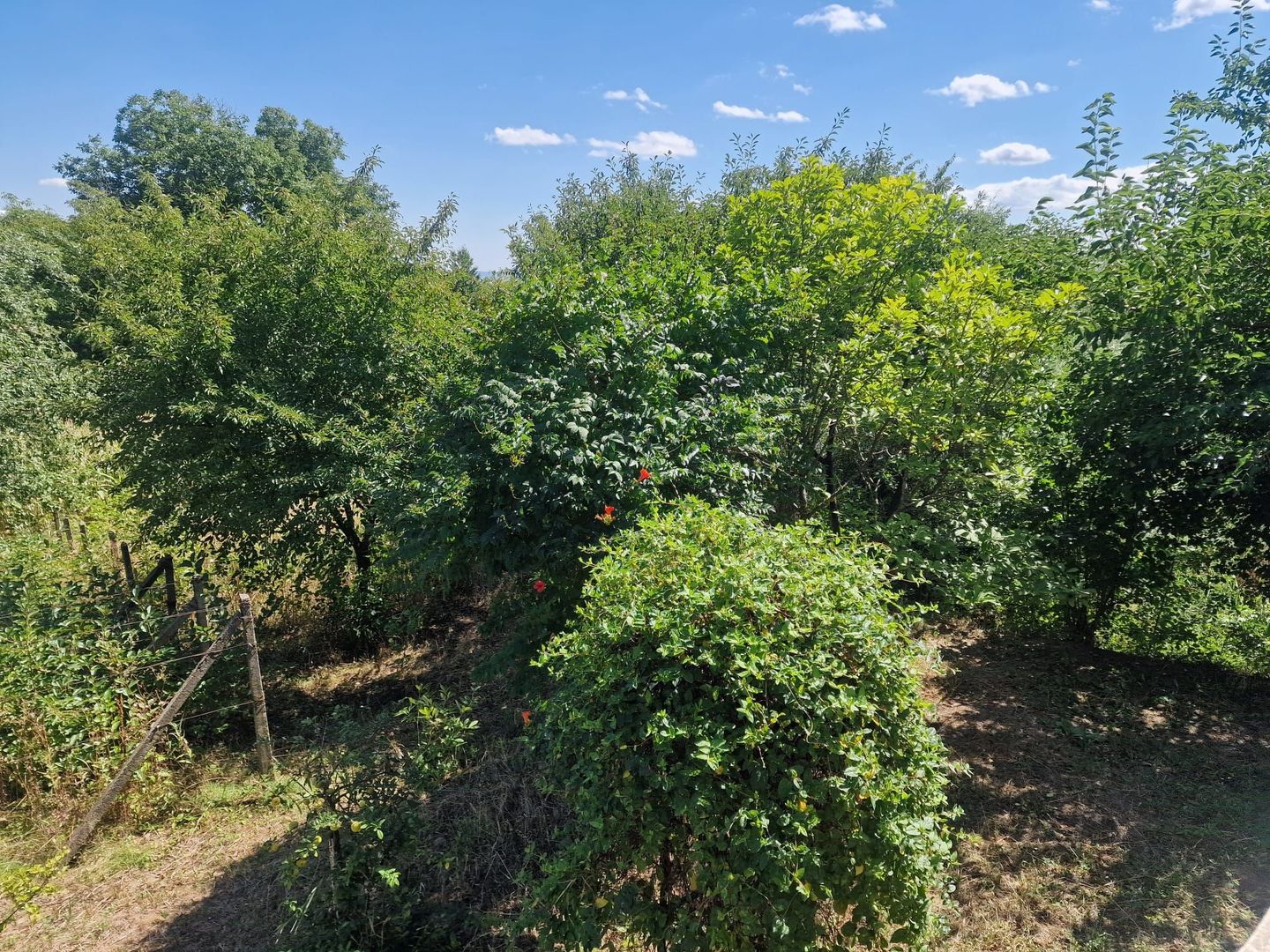 Casa in mediu rural cu teren - Poză 18