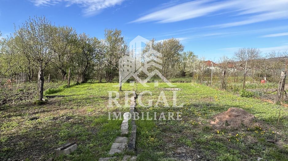 Casă de vânzare în Călanul Mic –  2 clădiri, curte, grădină, garaj - Poză 17