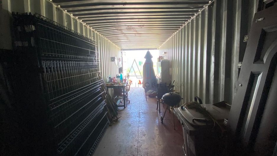 Teren intravilan 2.500 mp – Adunații Copăceni | Container inclus + puț - Poză 4