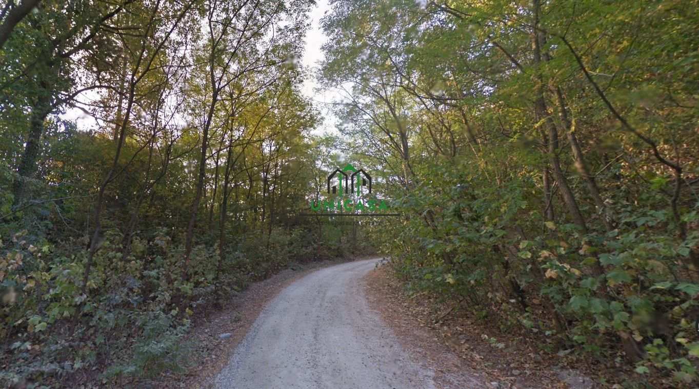 Teren Ramnicu Valcea / 28 Ha - Poză 4