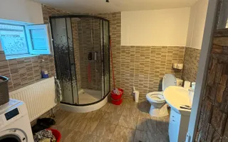 Casă renovată complet  105 mp utili  Teren 400 mp  Berceni - Poză 18