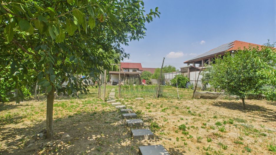 Teren edificabil 1106 mp – Dumbrăvița - Poză 4