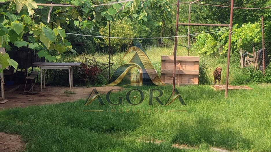 Casă cu teren 800 mp la 25 km de Sibiu – 3 camere, 124 mp – 65.000 € - Poză 6