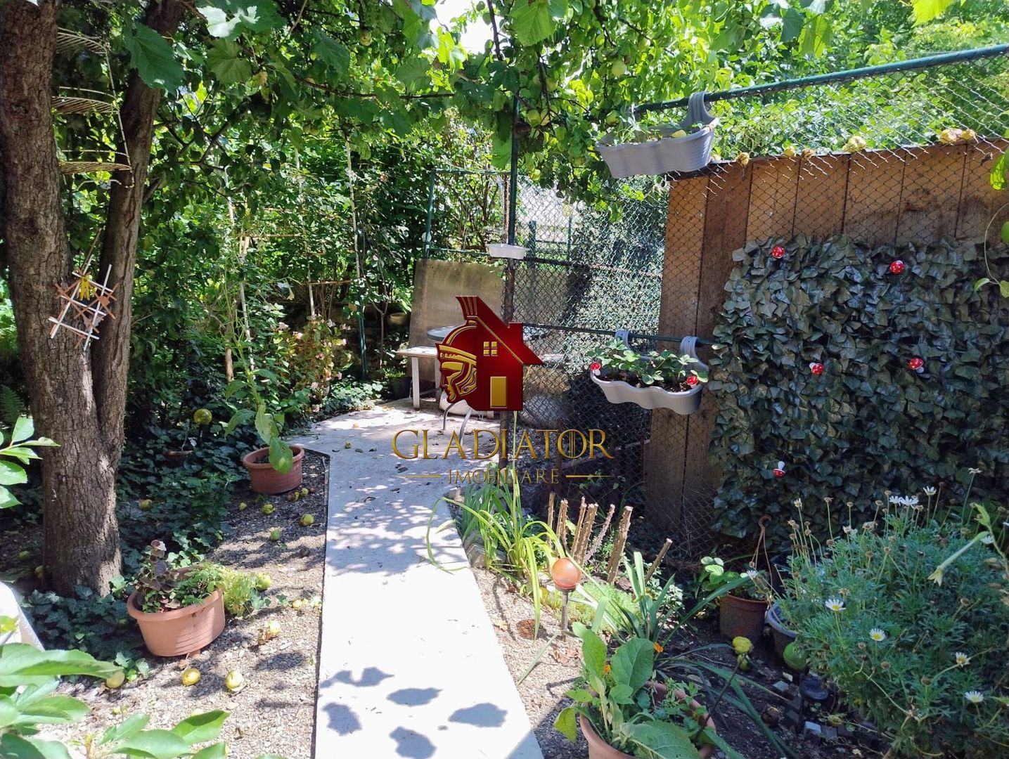 Copou - Lascar Catargi - aproape de IRO si Spitalul Spiridon, Oscar - Poză 2