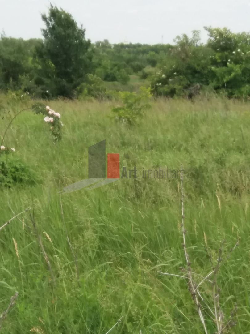 Teren Buftea cu iesire la lac - Poză 29