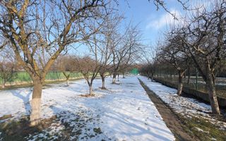 Proprietate de vanzare in Onesti - Poză 6