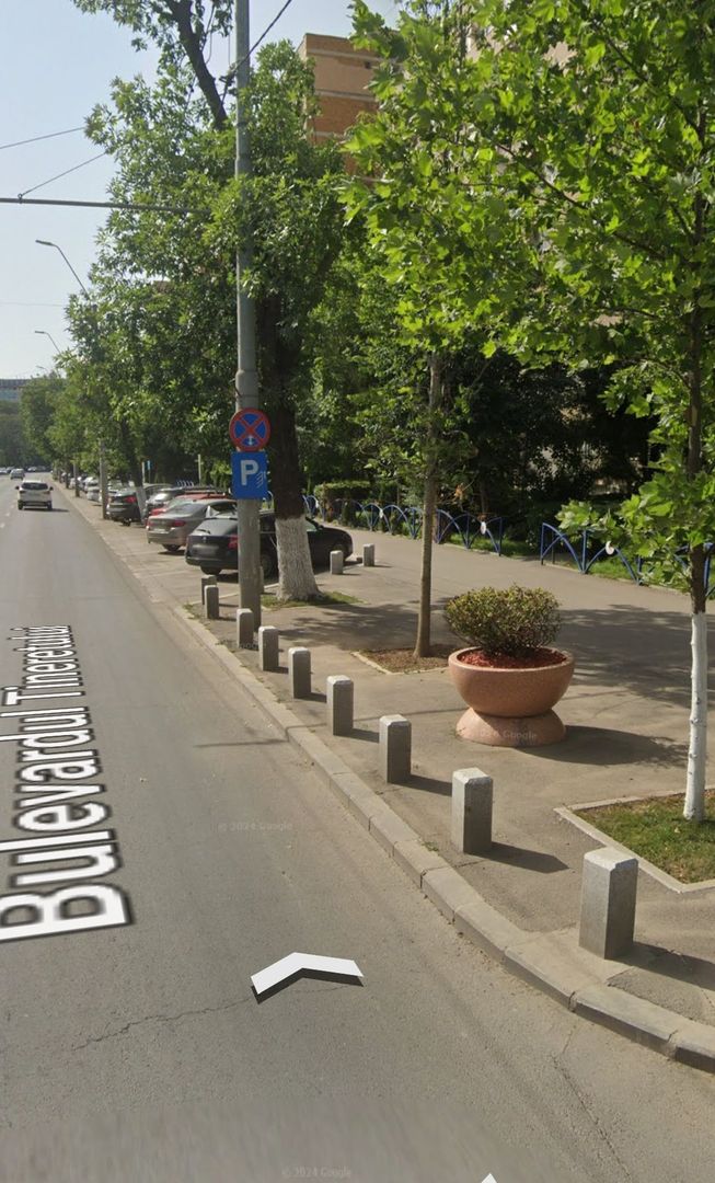 Apartament 2 camere. Bld Tineretului, la 2 min de metrou. - Poză 3