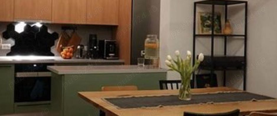 Apart deosebit pe malul Begai - Poză 12