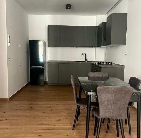 APARTAMENT 2 CAMERE | COMPLET MOBILAT SI UTILAT | ZONA FLOREASCA | - Poză 3