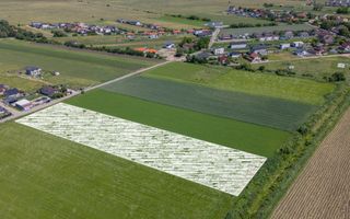 Teren 9.300 mp Stupini | Front 45.59 m la Asfalt | PUG Zonă L1c - Poză 4