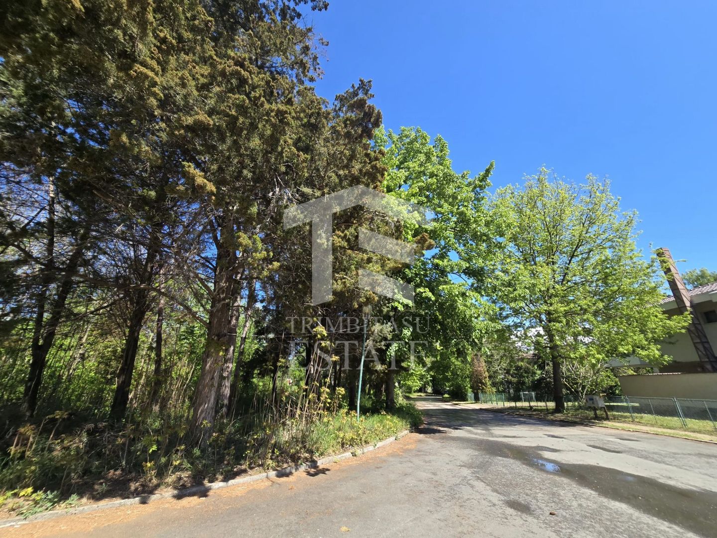 🏖 Teren de vanzare in Neptun – O oportunitate rara de investitie. - Poză 19