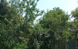 Casă de vânzare cu teren în comuna Schitu Duca, sat Dumitreștii Găleți, Iași - Poză 3