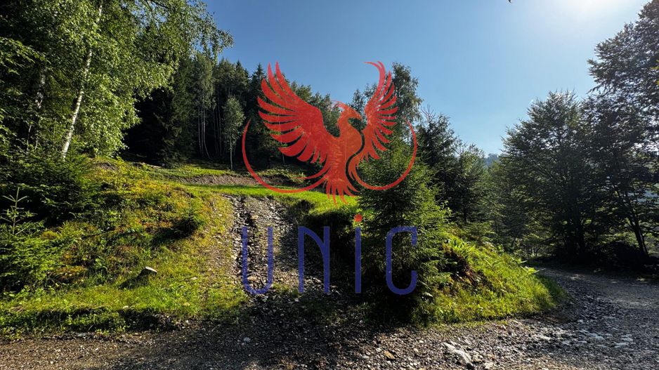 18000 mp de natura pura ,Lupeni, langa Straja - Poză 10