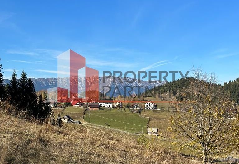 Teren Fundatica intravilan 4500 mp - Poză 6