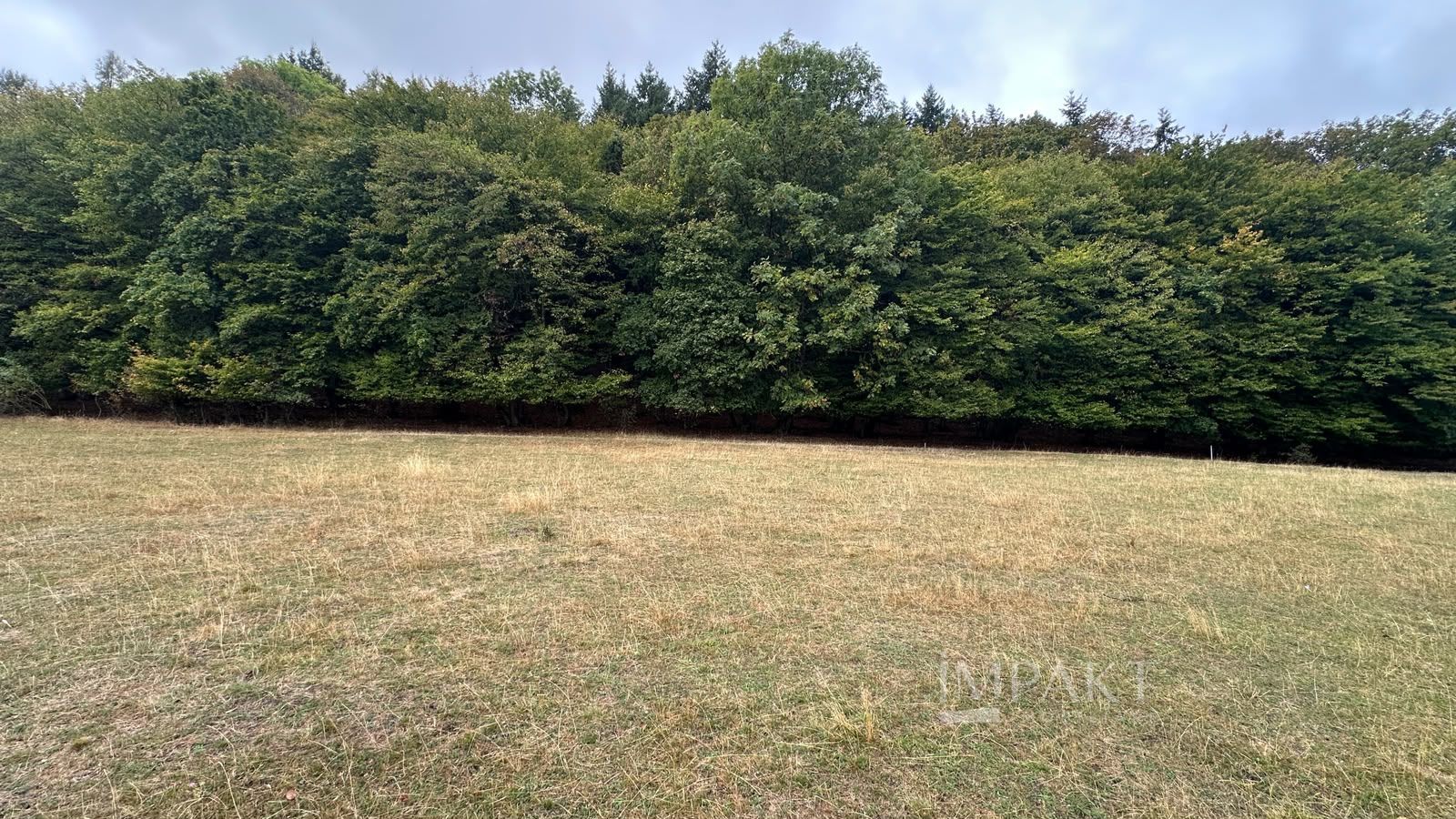 Teren langa Padure | Panorama Superba | Proiect Autorizat | Corusu - Poză 1