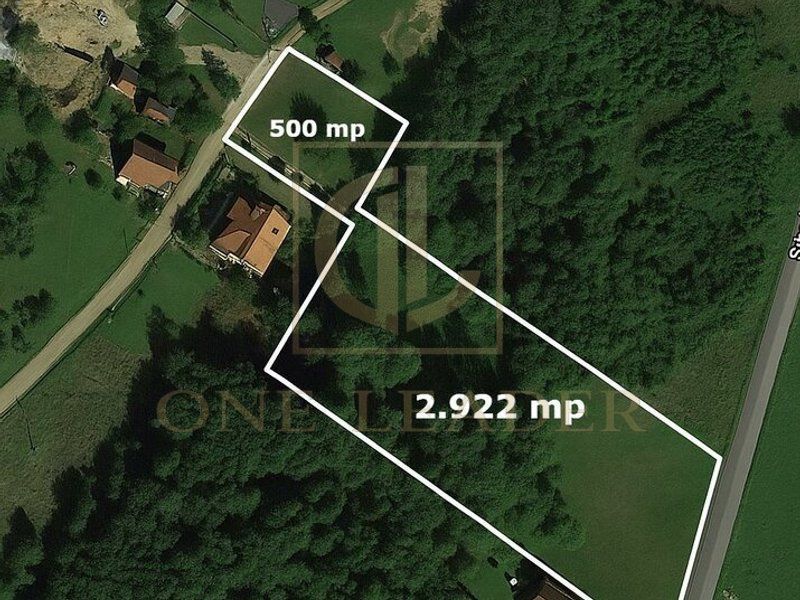 Teren 3349 mp de Vânzare | Bran – Panoramă Munții Bucegi - Poză 1