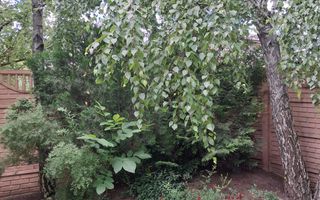 Casă deosebită, Zona Miorița – Comuna Berceni, Curte amenajată - Poză 9