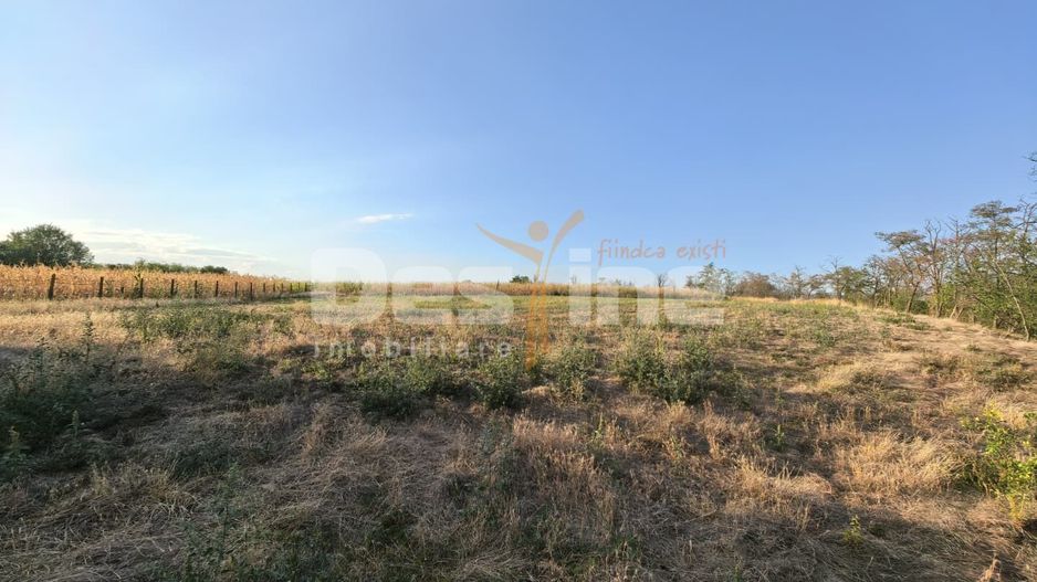 Teren intravilan 7600 mp cu certificat de urbanism P+2+M - Poză 2