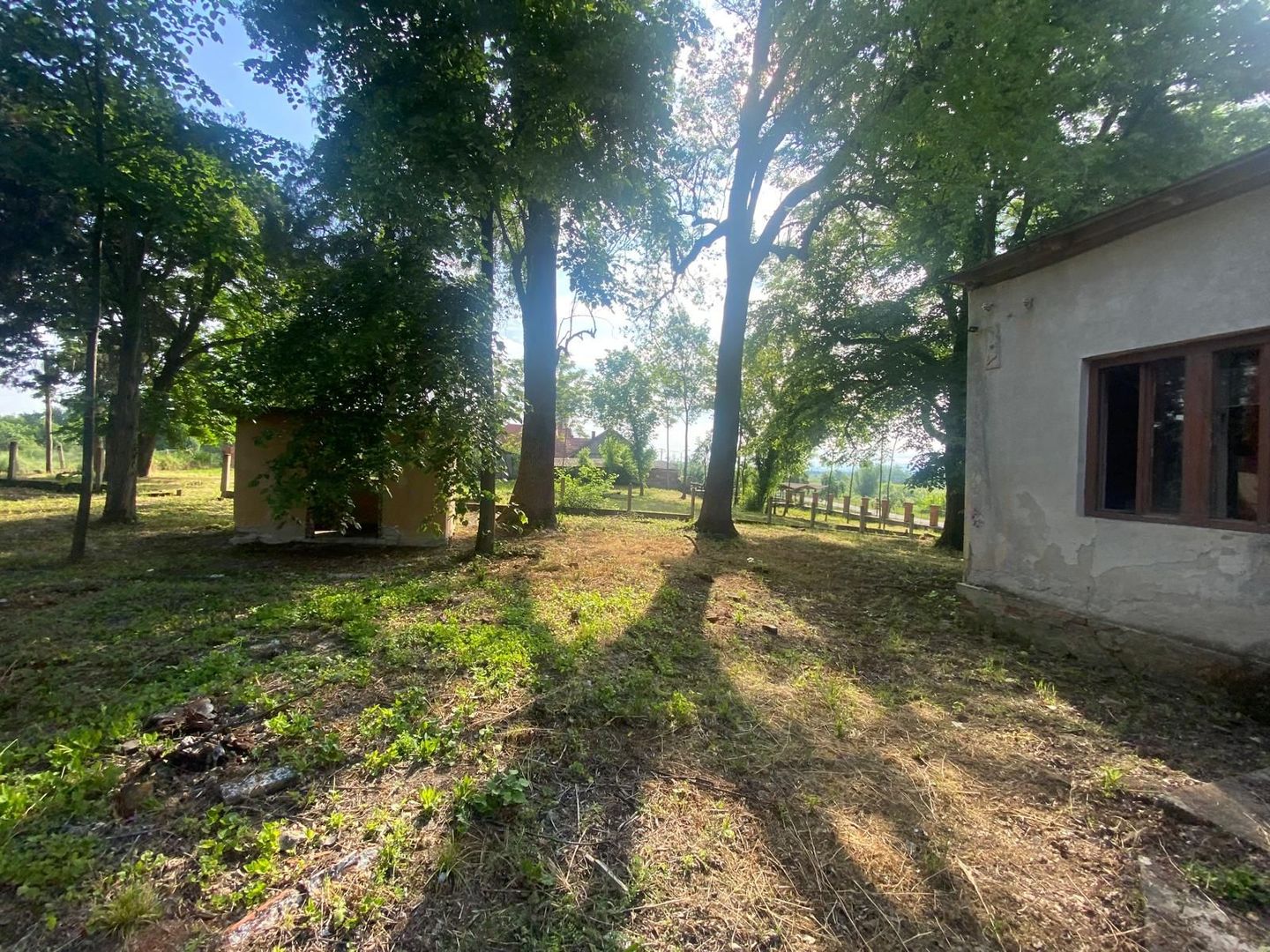 VILA DE VANZARE IN BALINT - Poză 4