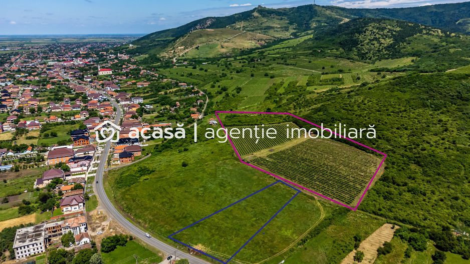 PRET REDUS Oportunitate de afacere, Teren cu vita de vie - Poză 1