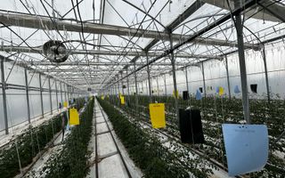 Complex agroindustrial de închiriat | Sere 3.300 mp - Poză 3