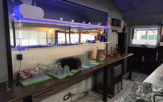 Spatiu comercial de inchiriat in zona Berceceni (Bulevard) - Poză 17