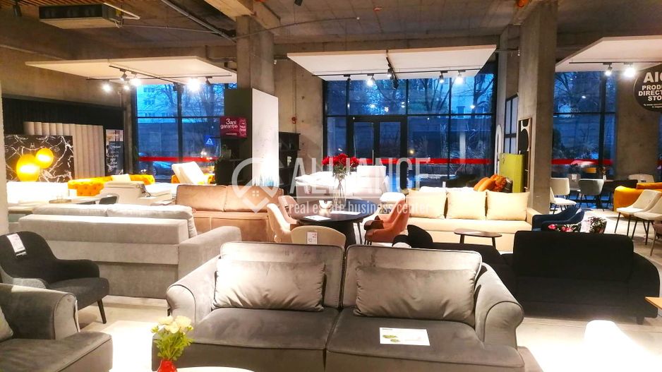 Spatiu comercial de inchiriat- (cod10)- EUROMATERNA - Poză 17