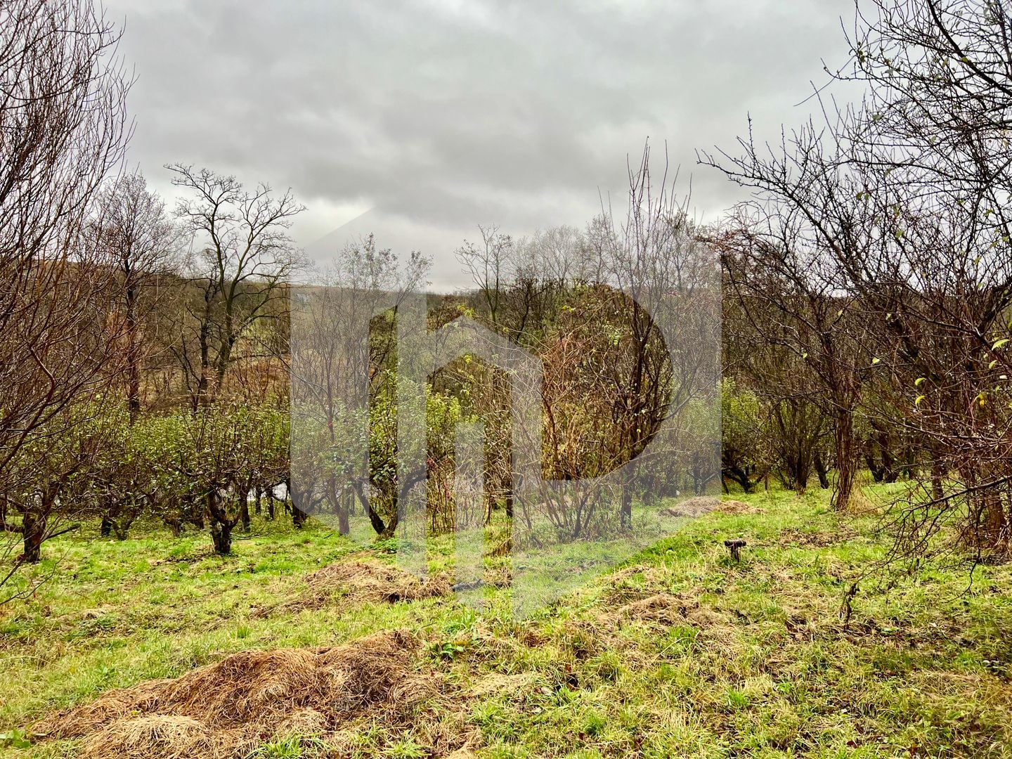 Casa de vanzare  in Talmacel-Teren 4000 mp cu livada+garaj - Poză 16