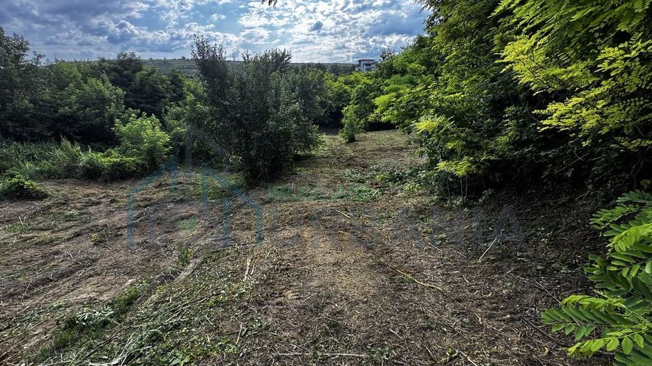Teren intravilan 2.099 mp pe DJ 248, Lunca Cetățuii / Ciurea - Poză 2