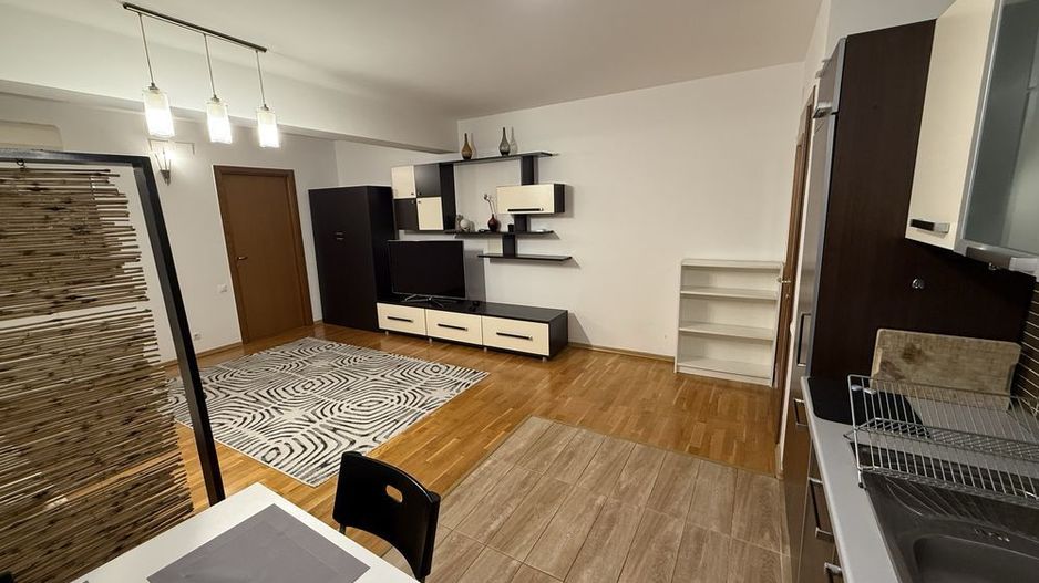Apartament 2 camere de inchiriat si terasa Herastrau - Poză 3