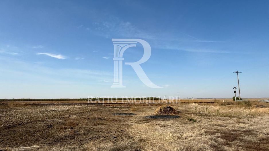Teren intravilan agricol | 7029 mp | Satu Nou | Bihor - Poză 17