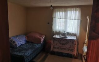 De vanzare casa in Argetoaia cu teren 7.000 mp - Poză 9