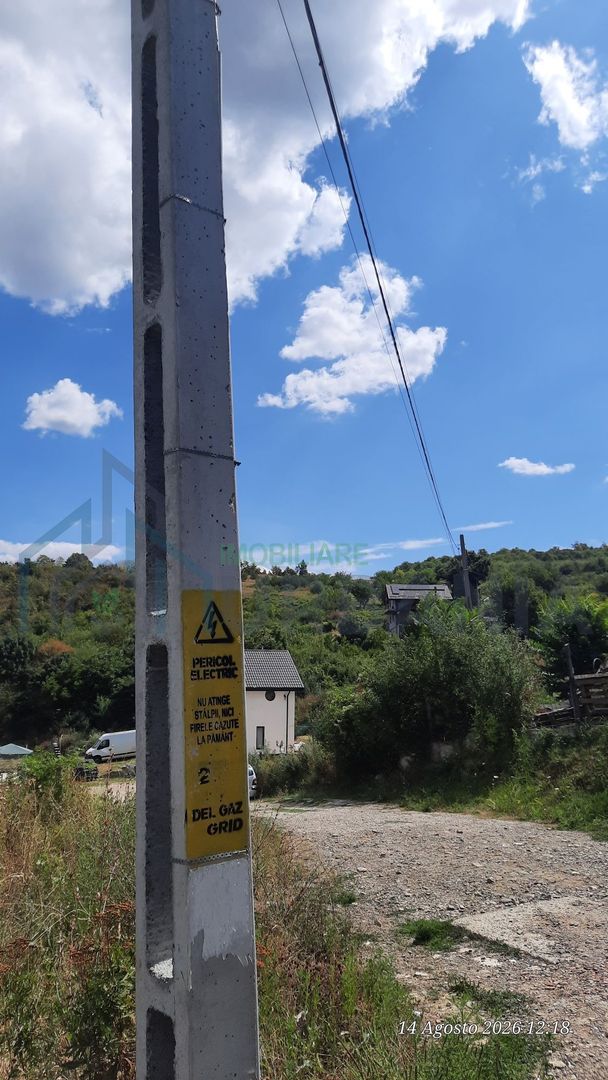Teren 10.000 mp în Tomesti, zona Vladiceni – oportunitate de investiție - Poză 6