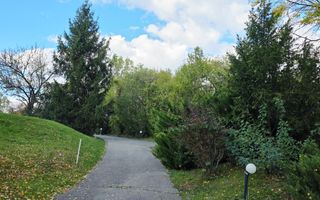 Reședință exclusivistă cu deschidere la Lacul Scroviștea - Poză 20