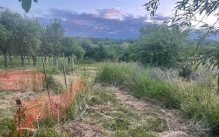 Teren intravilan de vânzare sau închiriere – Mogoșești Șanta, Iași - Poză 6