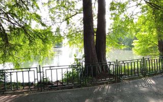 Lacul Tei Parcul Circului - Apt de inchiriat cu 2 camere - Poză 3