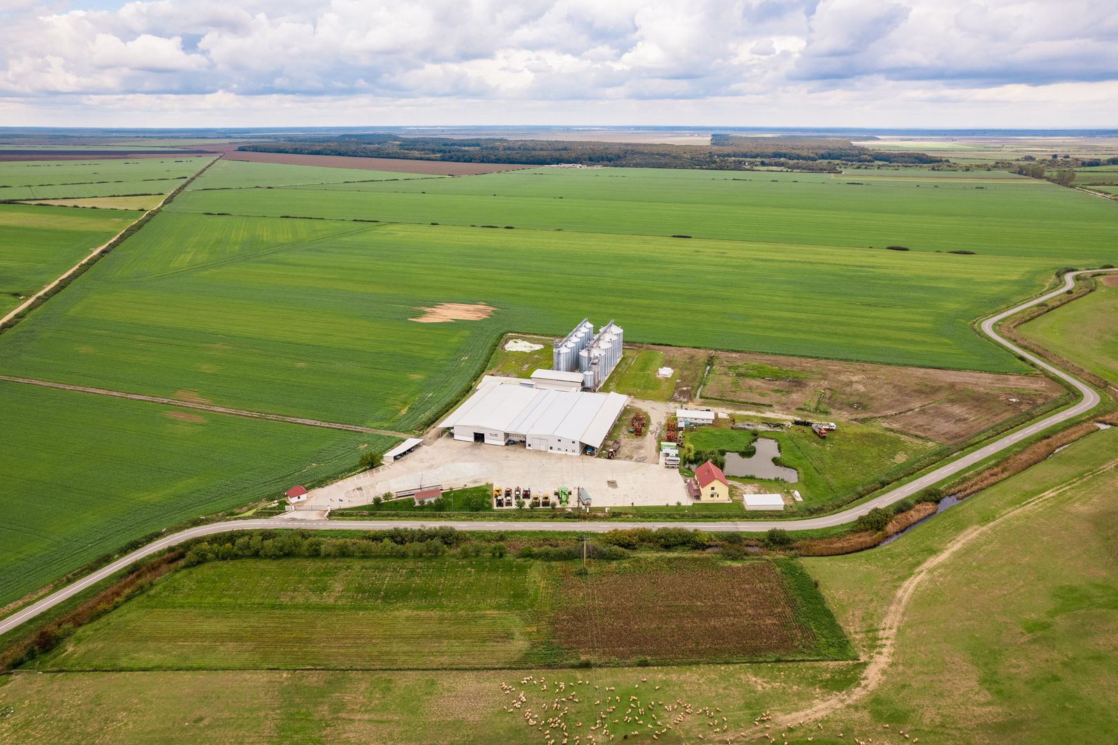 Teren 13500000 mp în Socodor - Poză 4